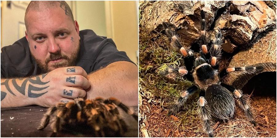 Opsjednut je paucima: Čak 120 tarantula drži u svojoj kući