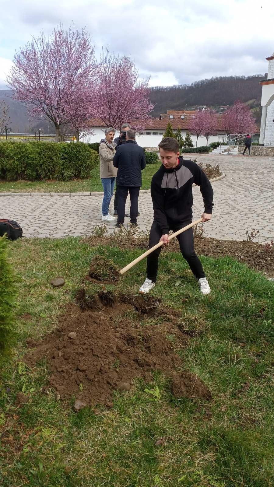 Prva sadnica u haremu Kajserija džamije - Avaz