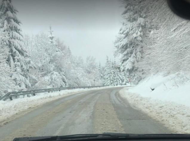 Stanje na putu Rogoj oko 13 sati - Avaz