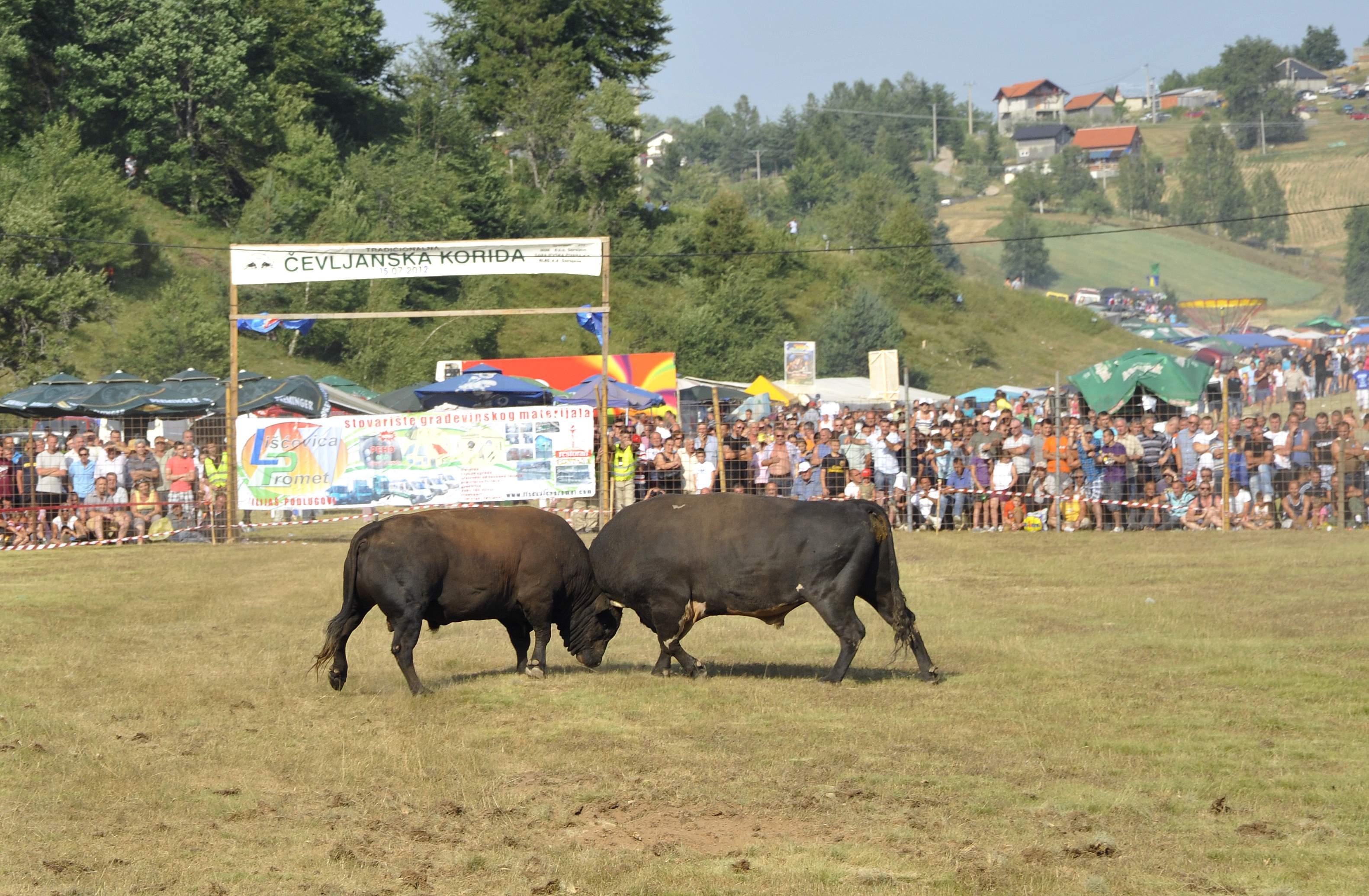 Otkazana Čevljanska korida, evo šta su razlozi