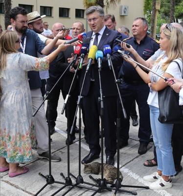 Mačka došla kod nogu premijera Plenkovića i zaspala - Avaz