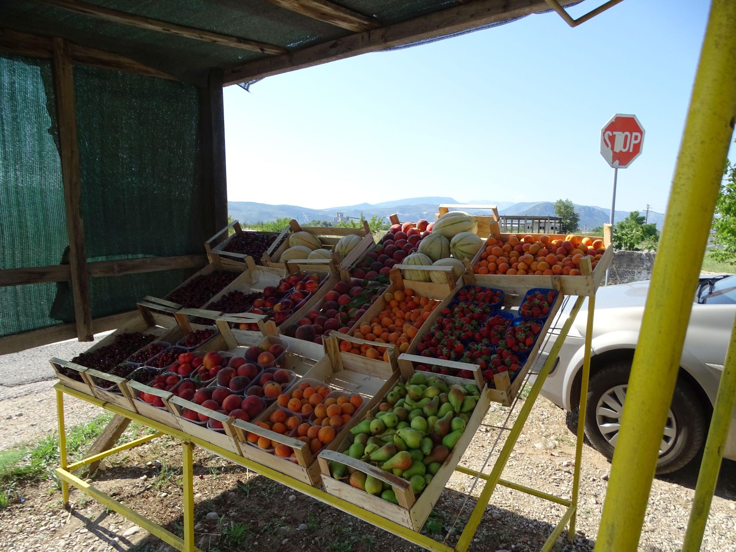 Voće karakteristično za Hercegovinu - Avaz