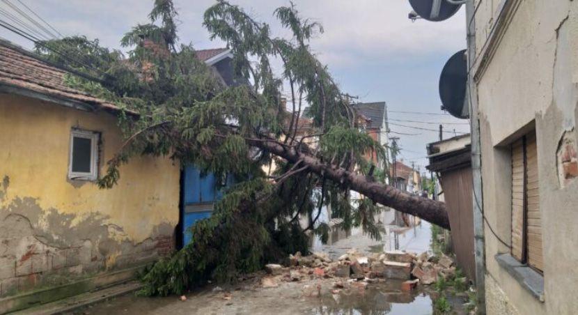 Snažno nevrijeme čupalo drveće iz korijena, padao grad veličine oraha