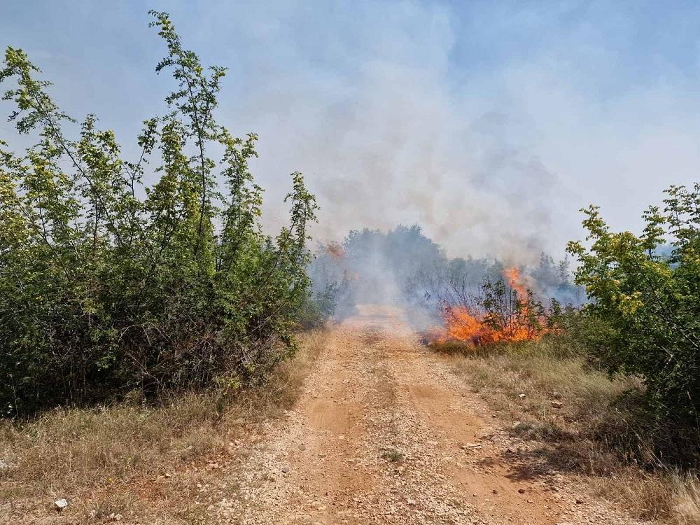 Mostarski vatrogasci se bore s požarom nedaleko od kuća