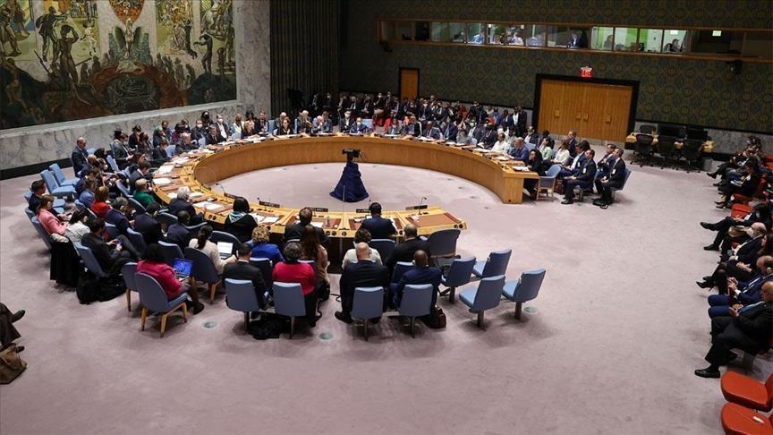 UN Security Council - Avaz