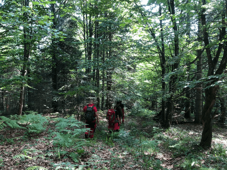 Uspješno okončana akcija: Pronađen planinar koji je nestao na Tajanu