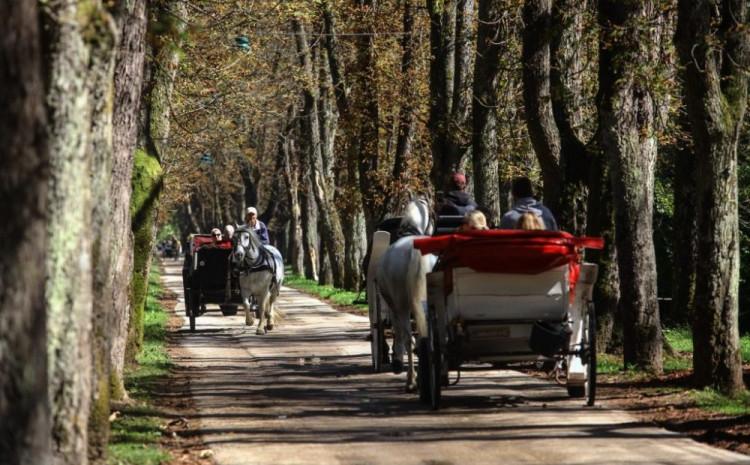 Velika aleja na Ilidži uskoro će dobiti LED rasvjetu: Vrijednost projekta veća od 160.000 KM