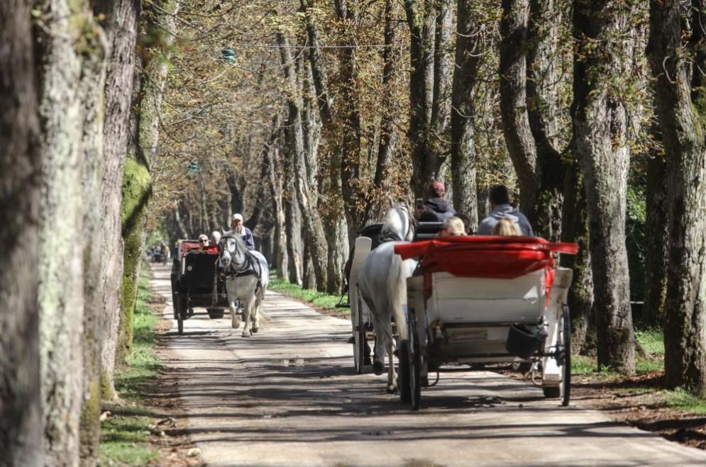 Fijakeri na Ilidži - Avaz