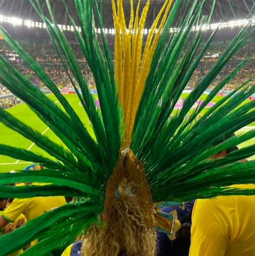 Navijačica Brazila zaklonila pogled gledatelju, on na Twitteru tražio link utakmice