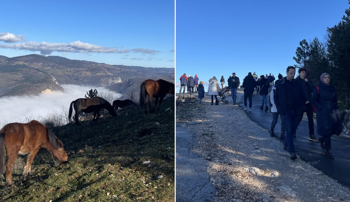 Dok se Sarajevo guši u smogu: Na Trebeviću idila, ljudi uživaju u prizoru ispaše divljih konja