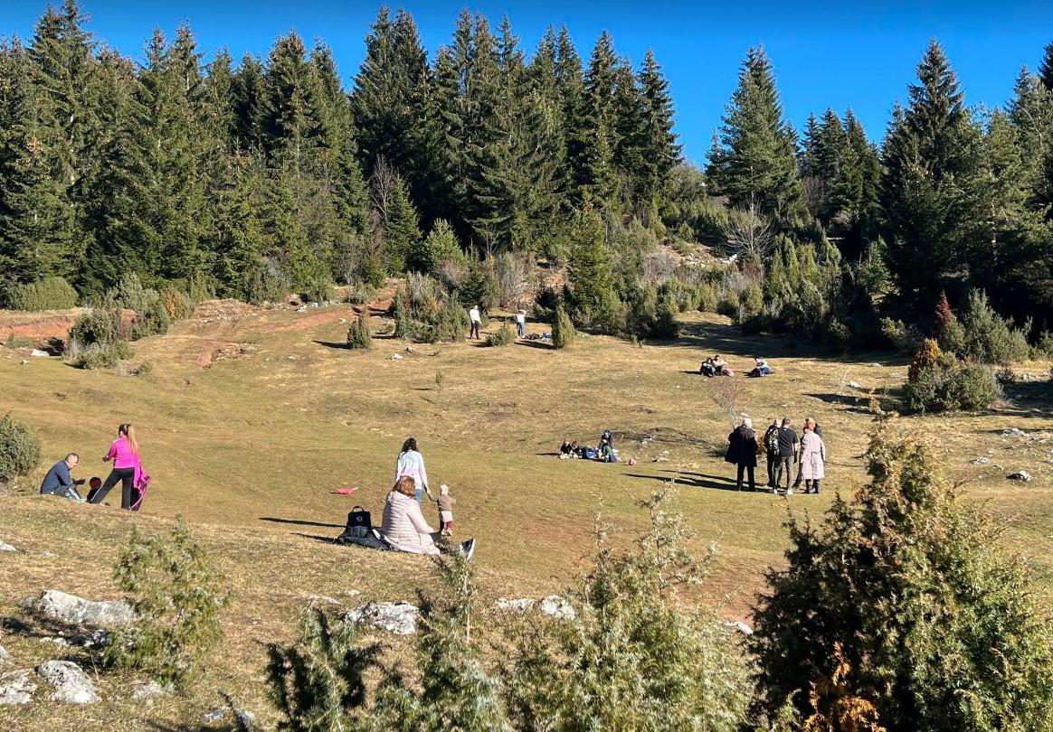 Boravak u prirodi spas je od zagađenog zraka