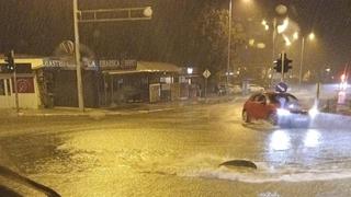 Haos u komšiluku zbog nevremena: Počupana stabla padala na automobile