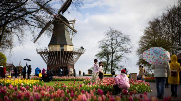 Vrt Keukenhof - Avaz