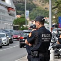 Policija uhapsila pripadnika kavačkog klana Nemanju Zurovca