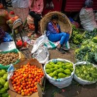 India to raise spending on job creation ahead of election