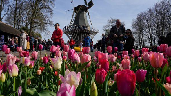 Vrt Keukenhof - Avaz