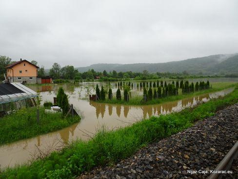 Dnevni avaz