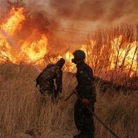 Apokaliptični prizori iz Grčke: Požari i dalje bjesne u okolini Atine, preminula jedna osoba
