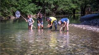 Planeta Zemlja zvanično bogatija za novu vrstu insekta nazvanu po Neretvi