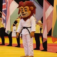 Mostar domaćin prestižnog judo turnira Borsa Open: 1.153 natjecatelja iz 28 zemalja