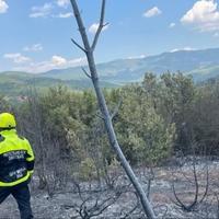 S ciljem sprečavanja požara, Sjeverna Makedonija zabranila kretanje šumama: Kazne i do 2.000 eura