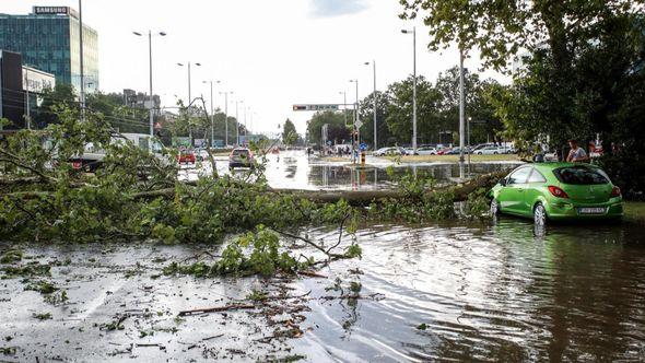 Srušeno stablo na vozilo - Avaz