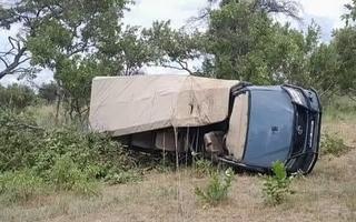 Video / Užas na safariju: Pobješnjeli slon prevrno autobus pun turista, poginula žena 