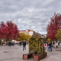 Sutra se održavaju parlamentarni izbori, učestvuje 28 političkih subjekata