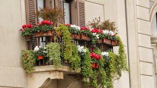 Kako da obojite svoj balkon i vrt bojama proljeća