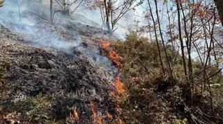 Lokaliziran požar u Podstrani, izgorjela 22 hektra