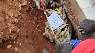 Ekshumacija u Mostaru: Pronađeni posmrtni ostaci žrtve iz proteklog rata
