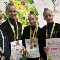 Takmičarke "Bosna Gym" osvojile 18 medalja na takmičenje u Zagrebu