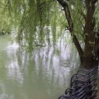 Buna se izlila na cestu, poplavljeno Trebižatsko polje