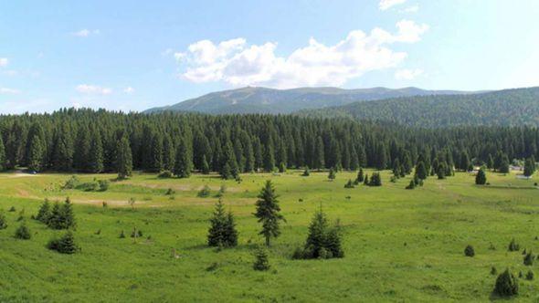 Bolji i prijatniji boravak na Velikom polju - Avaz