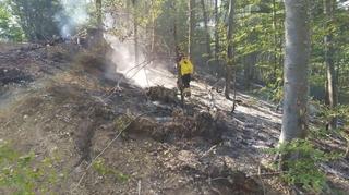 Požar na Bjelašnici eskalirao i silazi u šumu, potrebna intervencija helikoptera
