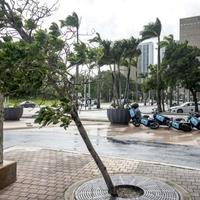 Uragan Debby izbacio na plažu na Florida Keysu kokain vrijedan više od milion dolara