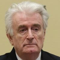 Zagrebački sud odbio priznati 5 milijardi dolara žrtvama Radovana Karadžića