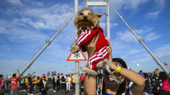 Istanbulski maraton - Avaz