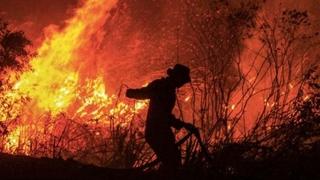 Šumski požar na španskom otoku La Palma, najmanje 500 osoba evakuirano