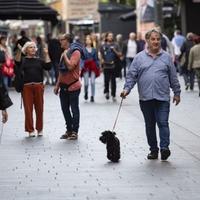 Proljetni vikend: Samo danas prijepodne postepeno povećanje oblačnosti