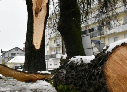 U Slavonskom Brodu snijeg i vjetar lomili drveće - Avaz