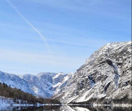 BOHINJ - Avaz