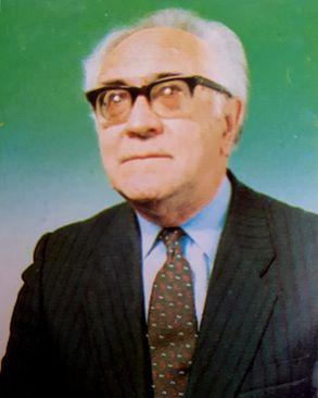 Zaim Topčić  - Avaz