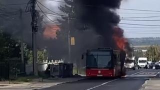 Gori autobus u Beogradu: Vatra progutala pola vozila 