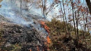 Upozorenje da nije dozvoljeno loženje otvorene vatre u šumama i na šumskom zemljištu
