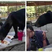 Medvjed upao na slavlje i počeo jesti, ljudi hvale reakciju majke