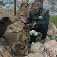 Nakon uništavanja brane u Ukrajini: Potopljen zoološki vrt u Novoj Kahkovki