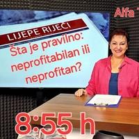 Šta je pravilno: neprofitabilan ili neprofitan?