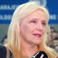 Predsjednica Atlantskog vijeća Dijana Gupta za "Avaz": SAD štite cjelovitost BiH, imperativ su nam mir i ulazak u NATO