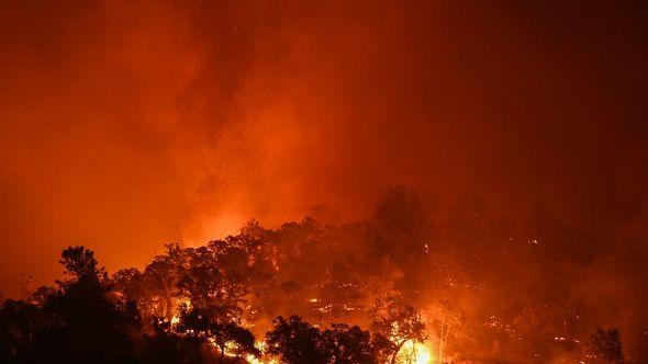 Šumski požar - Avaz